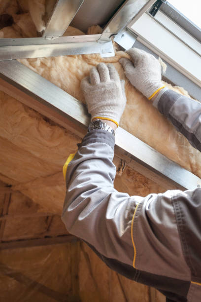 Best Fiberglass Insulation  in Barker Heights, NC