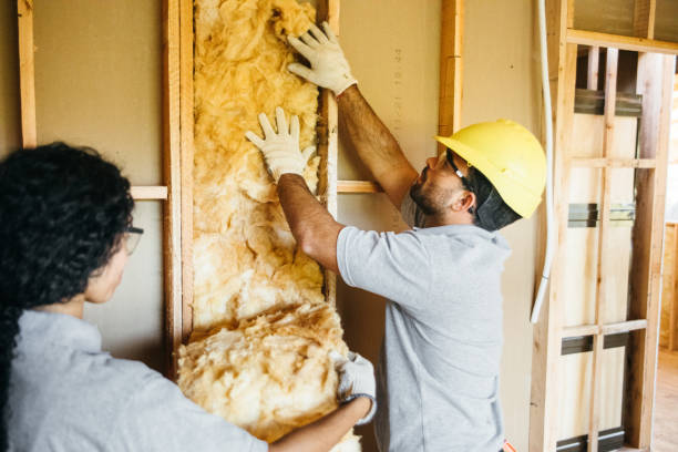 Best Spray Foam Insulation  in Barker Heights, NC