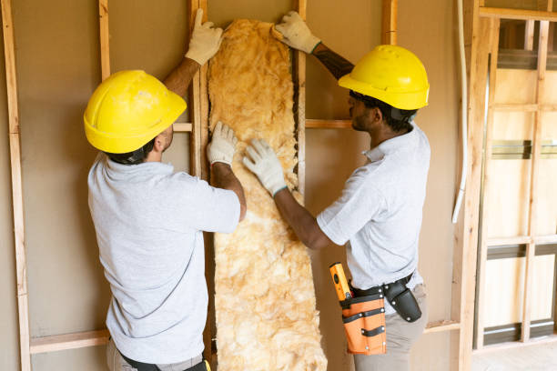 Best Insulation Contractors for Homes  in Barker Heights, NC