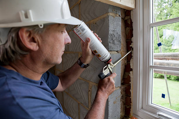 Best Insulation Replacement Services  in Barker Heights, NC