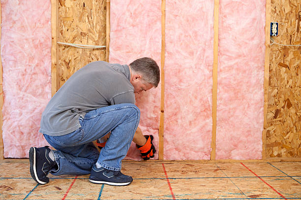Best Professional Insulation Contractor  in Barker Heights, NC