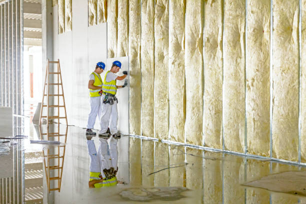 Best Wall Insulation Contractor  in Barker Heights, NC